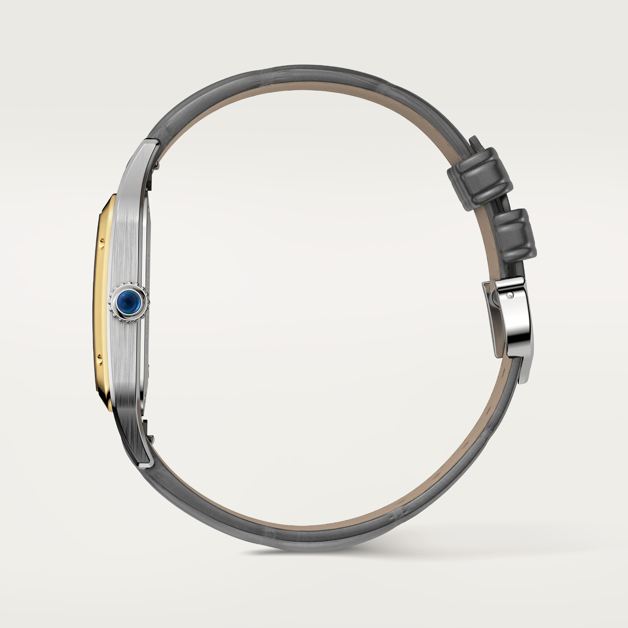 Cartier Santos de Cartier (Ref: W2SA0036)