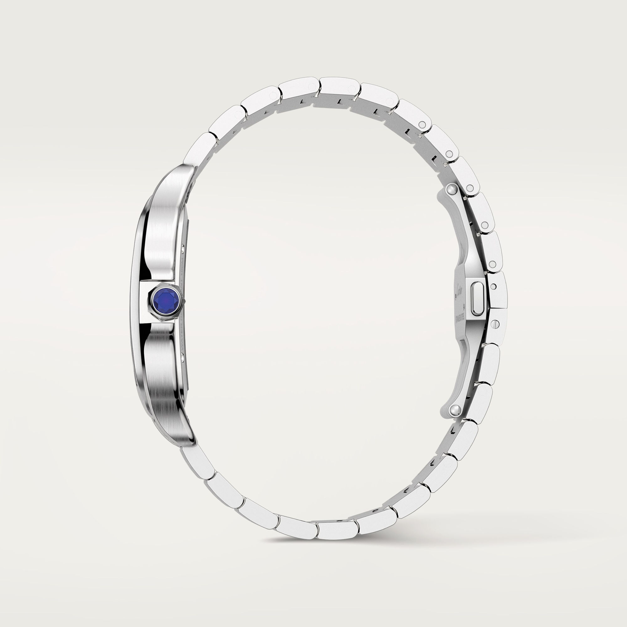 Cartier Santos de Cartier (Ref: WHSA0015)