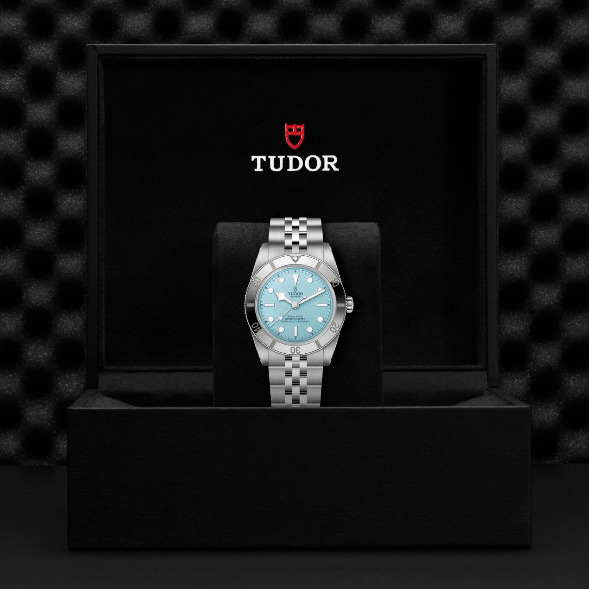 TUDOR Black Bay 54 (Ref: M79000-0001)