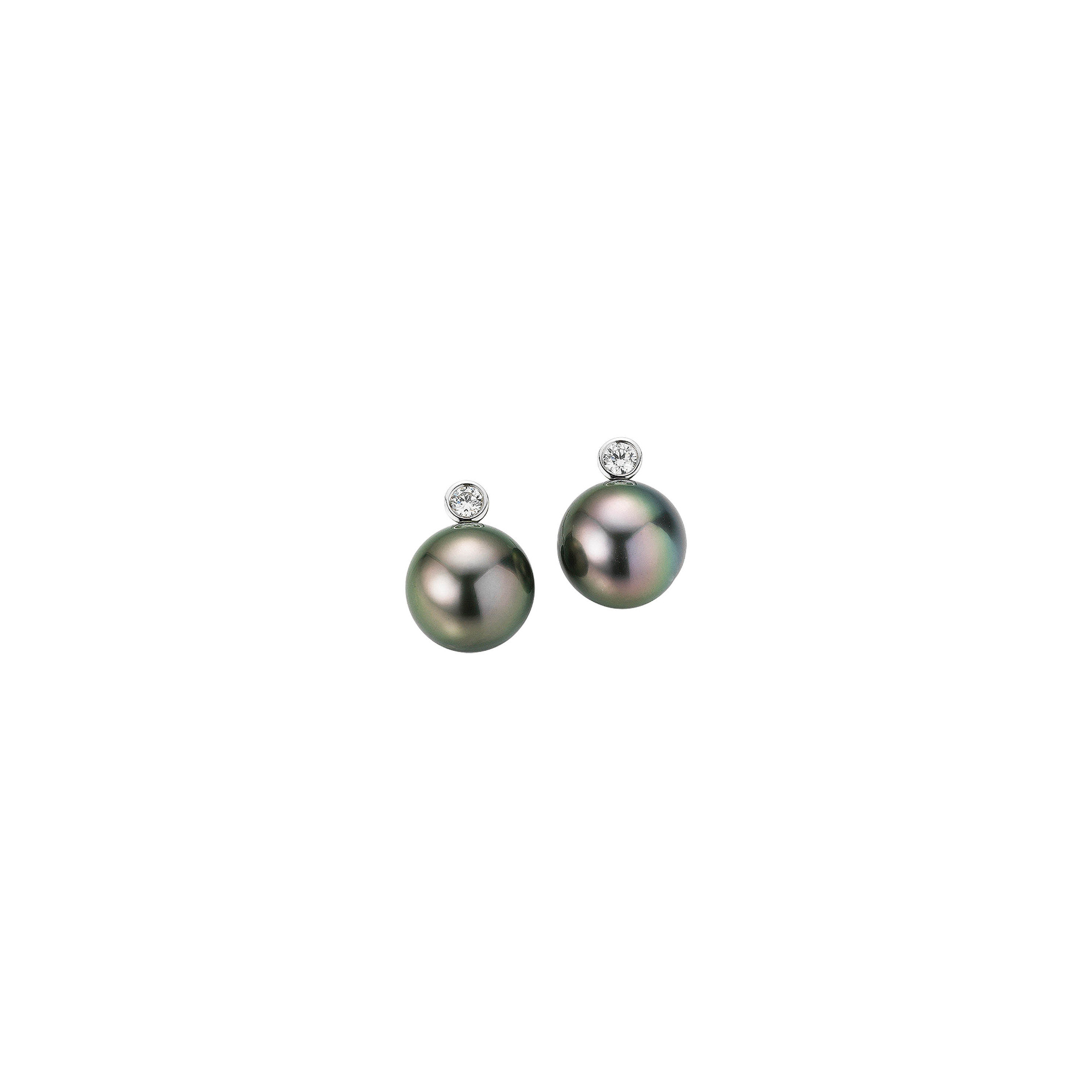 Gellner H2O Ohrstecker (Ref: 5-22020-04)