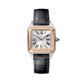 Cartier Santos-Dumont W2SA0012