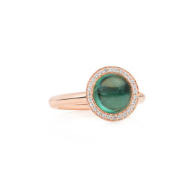 Bron Sushi Ring 8RR4924ITCBR