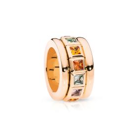 Tamara Comolli CURRICULUM VITAE Ring INDIAN Summer R-CV77-14-IS-rg