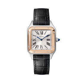 Cartier Santos-Dumont W2SA0038