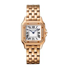 Cartier Panthère de Cartier WJPN0009