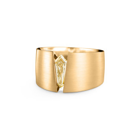 Schaffrath THE ONE Herrenring 118_T-ONE_120_KC_YY