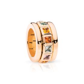 Tamara Comolli CURRICULUM VITAE Ring INDIAN Summer R-CV77-14-IS-rg