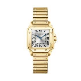 Cartier Santos de Cartier WGSA0107
