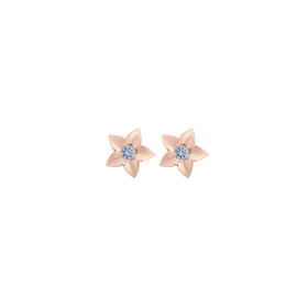 Bron Poppy Ohrschmuck 8OR4897CS