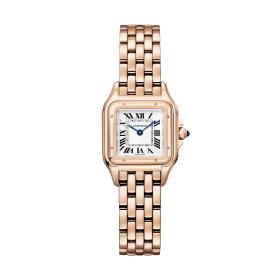 Cartier Panthère de Cartier WGPN0049