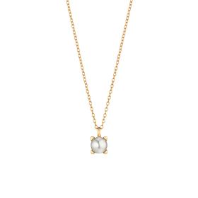 Gellner Delight Collier 5-24453-03