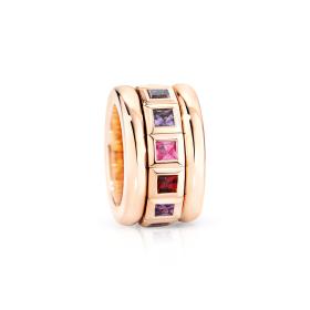 Tamara Comolli CURRICULUM VITAE Ring Wildberry R-CV77-14-WB-rg
