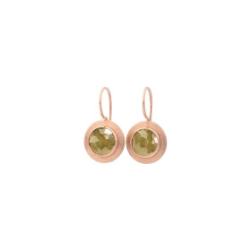 Bron Solar Ohrschmuck 8OR4822GKS