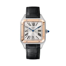 Cartier Santos-Dumont W2SA0037