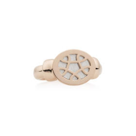 Bron Toujours Ajour Ring 8RR4843WG
