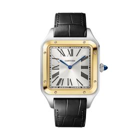 Cartier Santos-Dumont W2SA0034