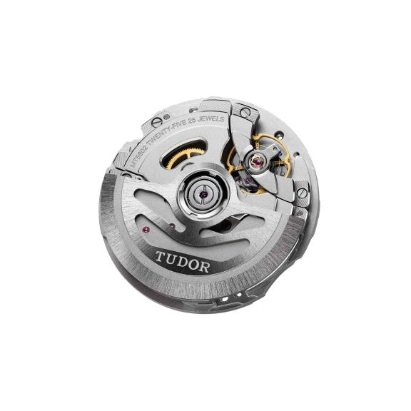 TUDOR-Black Bay-M79230N-0008-2