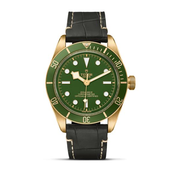TUDOR-Black Bay Fifty-Eight 18K-M79018V-0001