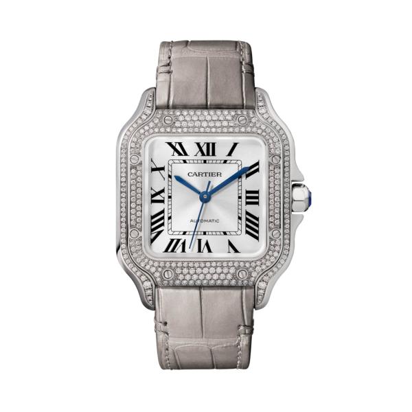 Cartier Santos de Cartier (Ref: WJSA0014)
