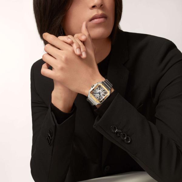 Cartier Santos de Cartier (Ref: WHSA0019)