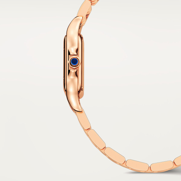 Cartier Panthère de Cartier (Ref: WGPN0060)