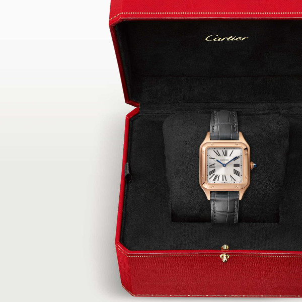 Cartier Santos-Dumont (Ref: WGSA0117)