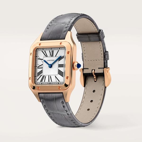 Cartier Santos-Dumont (Ref: WGSA0022)