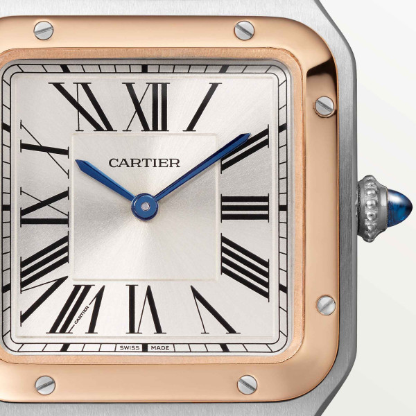 Cartier Santos-Dumont (Ref: W2SA0038)