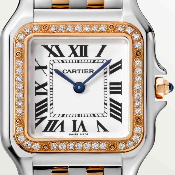 Cartier Panthère de Cartier (Ref: W3PN0015)