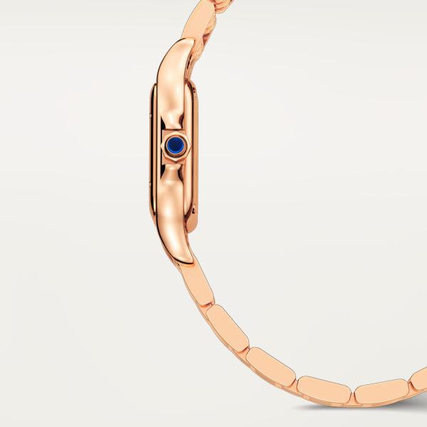 Cartier Panthère de Cartier (Ref: WGPN0049)