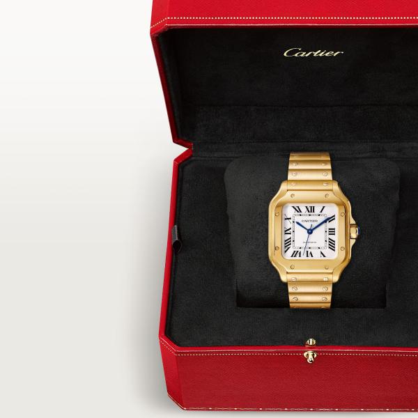 Cartier Santos de Cartier (Ref: WGSA0030)
