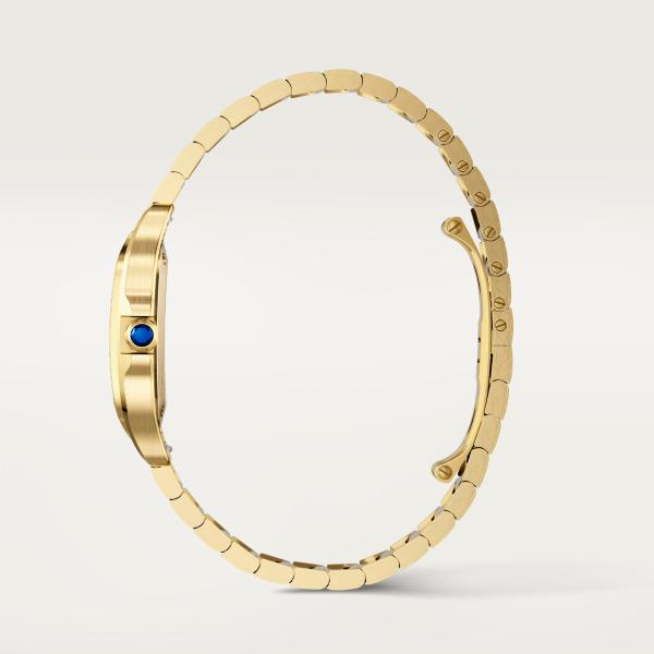 Cartier Santos de Cartier (Ref: WGSA0107)