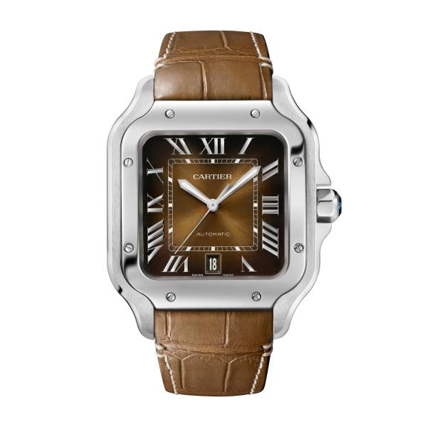 Cartier Santos de Cartier (Ref: WSSA0064)