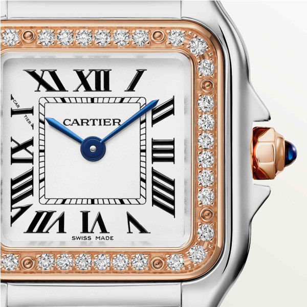 Cartier Panthère de Cartier (Ref: W3PN0014)
