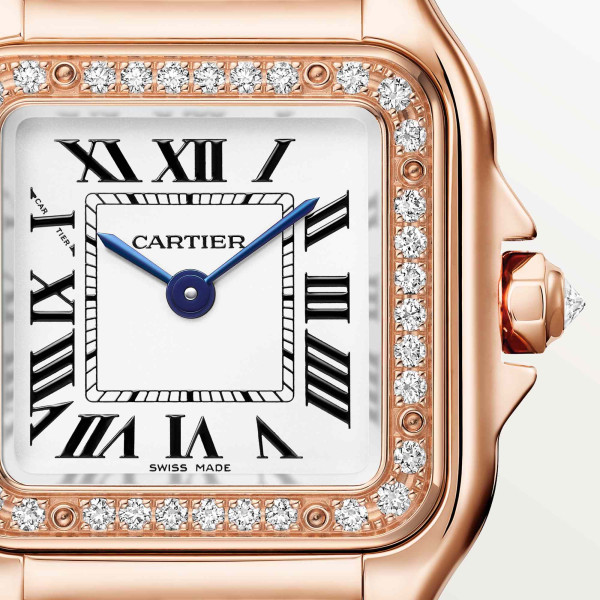 Cartier Panthère de Cartier (Ref: WJPN0061)