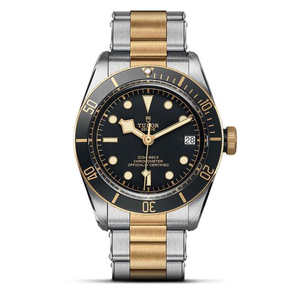 TUDOR Black Bay S&G (Ref: M79733N-0008)