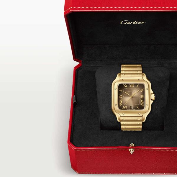 Cartier Santos de Cartier (Ref: WGSA0095)