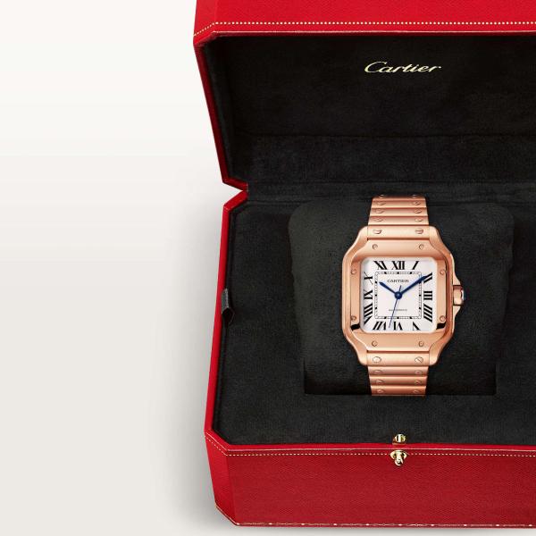 Cartier Santos de Cartier (Ref: WGSA0031)