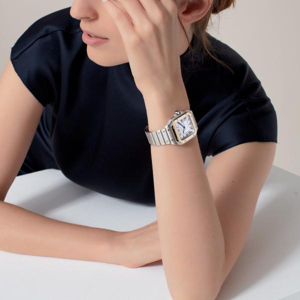 Cartier Santos de Cartier (Ref: W2SA0016)