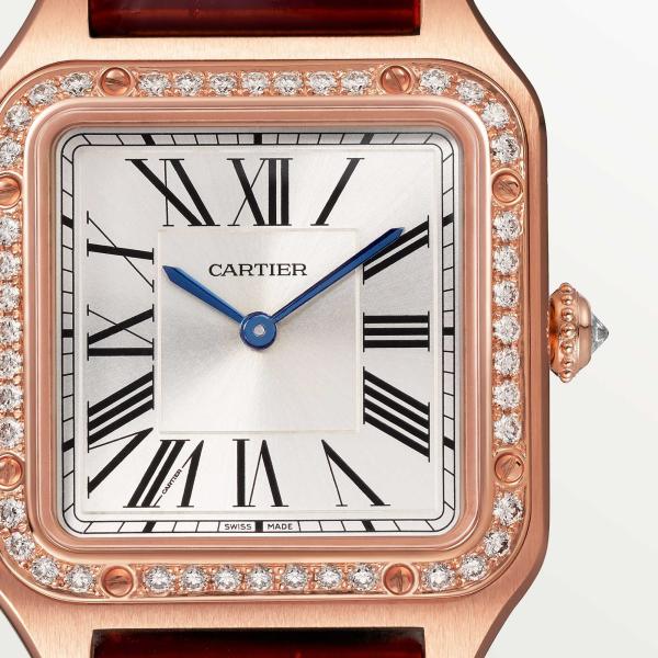 Cartier Santos-Dumont (Ref: WJSA0017)