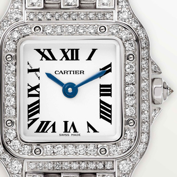 Cartier Panthère de Cartier (Ref: HPI01719)