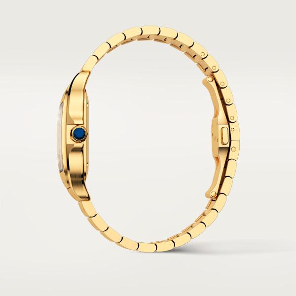 Cartier Santos de Cartier (Ref: WGSA0030)
