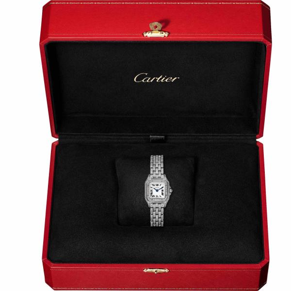 Cartier Panthère de Cartier (Ref: HPI01641)