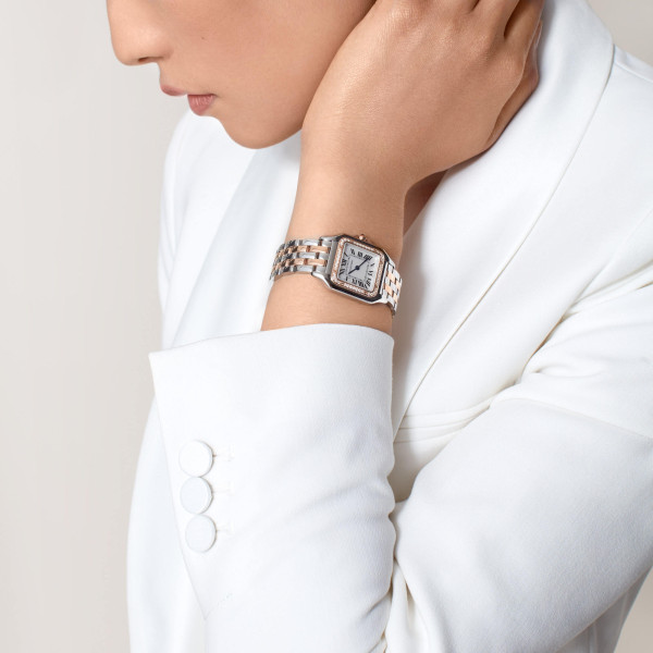 Cartier Panthère de Cartier (Ref: W3PN0015)