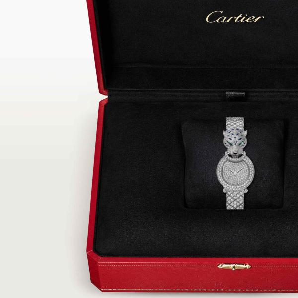 Cartier Panthère de Cartier (Ref: HPI01657)