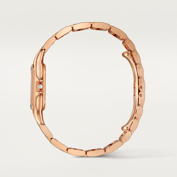 Cartier Panthère de Cartier SM (Ref: WJPN0091)