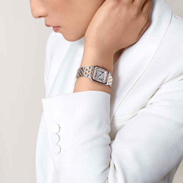 Cartier Panthère de Cartier (Ref: W3PN0007)