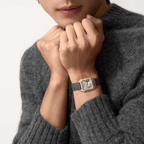 Cartier Santos-Dumont (Ref: WGSA0022)