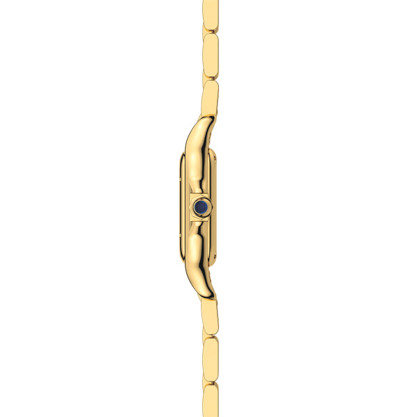 Cartier Panthère de Cartier (Ref: WGPN0059)