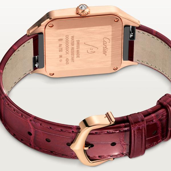 Cartier Santos-Dumont (Ref: WJSA0017)